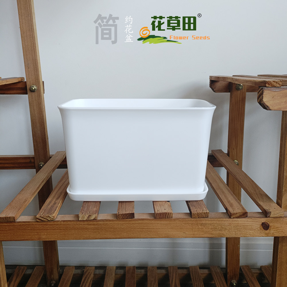 全新pp材质简约花盆加厚加深家用图片