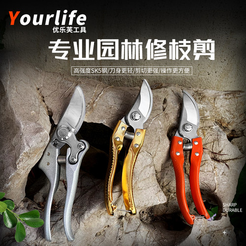 修枝剪园艺剪摘果花木