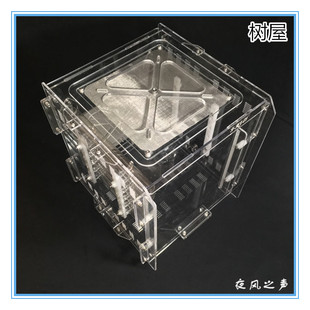 亚克力树栖蚁巢黄猄蚁红黑蚁专用巢宠物蚂蚁巢替代蚂蚁工坊 树屋