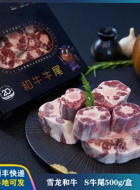国产【雪龙和牛】S牛尾骨煲汤红烧冷冻牛肉500g/盒