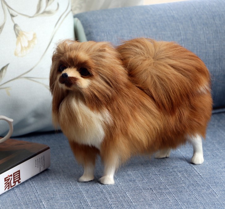 宠物仿真俊介犬博美狗