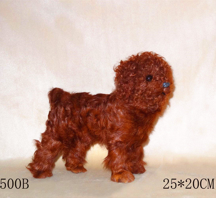 动物模型 仿真泰迪狗贵宾犬 宠物玩具 摄影道具摆件装饰包邮