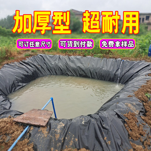 塑料布加厚防水鱼塘防渗水土工膜