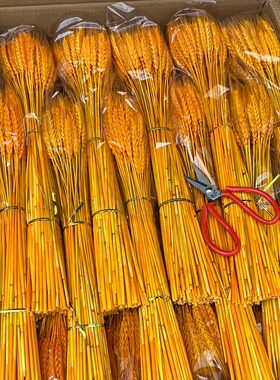 开业大麦天然黄金麦穗干花花束客厅田园装饰摆件插花1万支装整箱