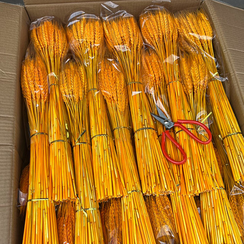 开业大麦天然黄金麦穗田园装饰