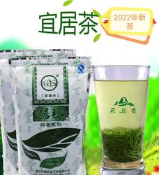 2025年新茶酉阳茶叶重庆宜居嫩芽高山茶绿茶一品堂酉茗堂毛尖300g