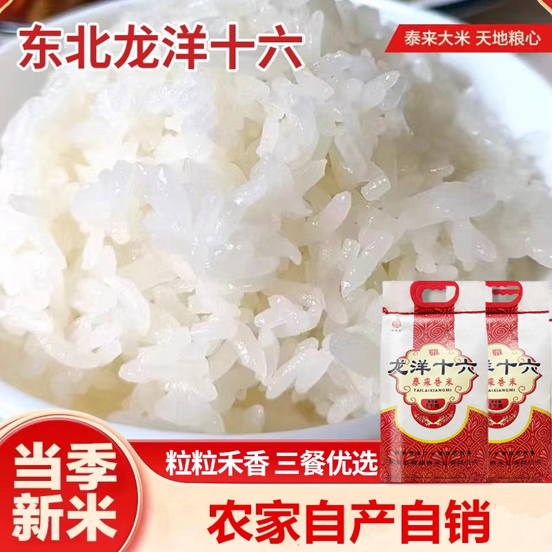 秋季新米稻香龙洋十六长粒大米