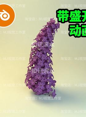 丁香花紫色Blender绽放开花动画视频花蕾模型植物花朵花瓣2199