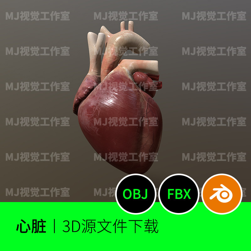 心脏解剖医学人体3d三维模型素材文件下载blender建模器官结构481