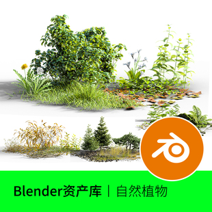 Blender植物草丛灌木小草野草石头树枝模型建模素材资产库集合180