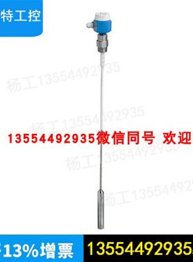 恩德斯豪斯 E+H 电容料位开关 FTI56-AAC1RV143A1A   L=1500mm