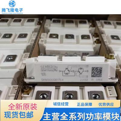 直拍SKM150GB17E4  SKM200GB17E4 SKM300GB17E4 SKM400GB17E4现货