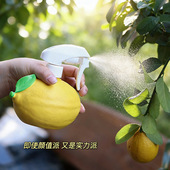 ins柠檬喷壶园艺浇花洒水壶高颜值家用阳台客厅绿植多肉装 饰摆件
