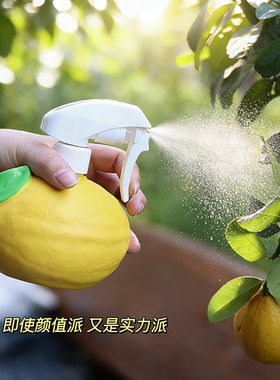 小柠檬喷壶园艺浇花洒水壶高颜值