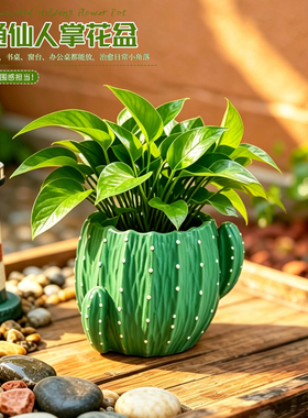 立体仿真仙人掌花盆家用绿植造景