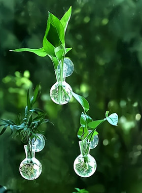 创意透明水培花瓶玻璃窗壁挂摆件