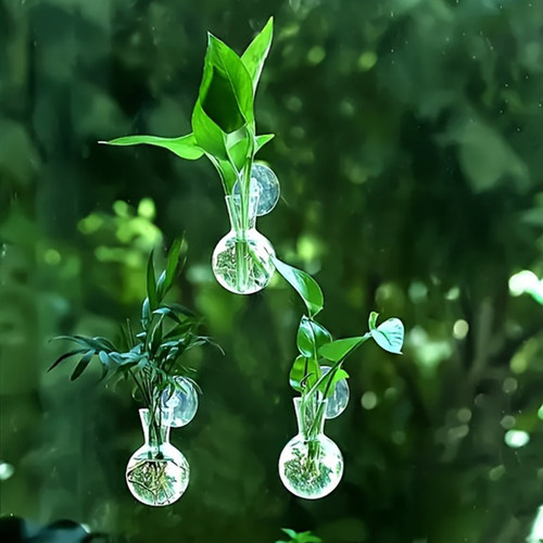 创意透明水培花瓶玻璃窗壁挂摆件