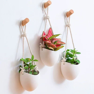 吊篮花盆白色墙上轻奢壁挂花盆免打孔水培绿植创意装饰吊盆悬挂式