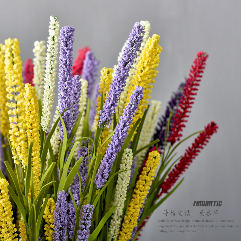 谷子价格最新行情