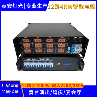 12路智能电箱 DMX512控制电源直通箱 舞台灯光智能电柜直通箱