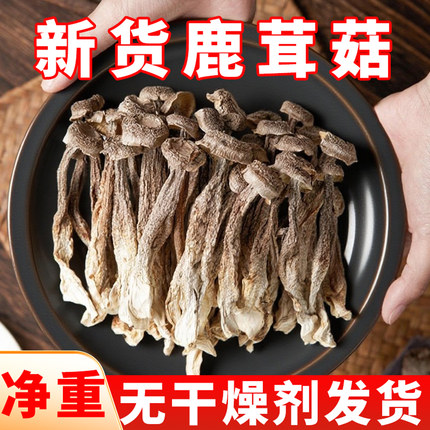 鹿茸菇菌菇类干货土特产蘑菇精品礼盒煲汤火锅食材料配菜批发新货