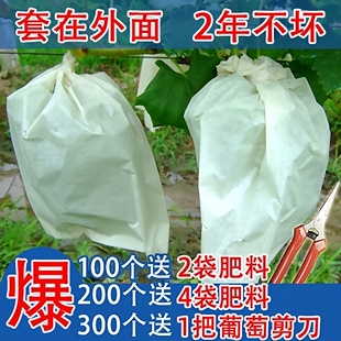 【厂家直销】葡萄袋子防虫防鸟防水果袋包葡萄套袋专用套葡萄纸袋