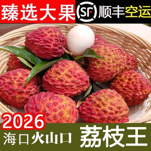 2026海南荔枝王新鲜 火山口水果特大超大海口巨无核现摘果霸顺丰