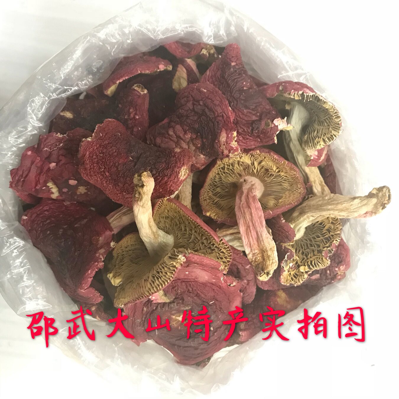 福建闽北邵武大山特产 精选本地大红菇干货 500克