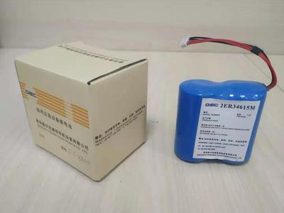 飞通FT-8200 EPIRB示位标电池 2ER34615M示位标 带CCS证书