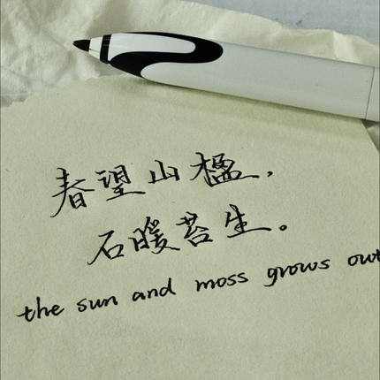 天卓极峰笔静音速干水性走珠笔极锋中性笔刷题笔签字笔书法练字笔