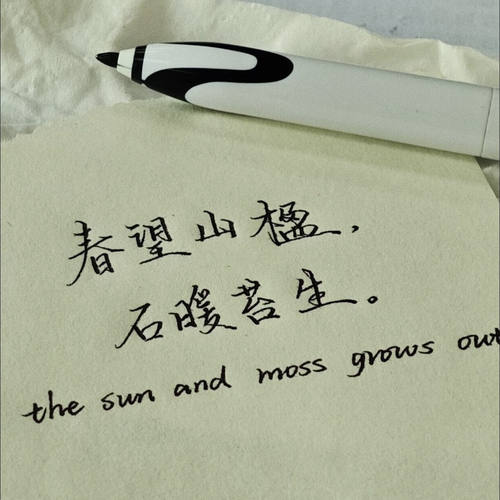 天卓极锋静音水性珠笔科技中性笔