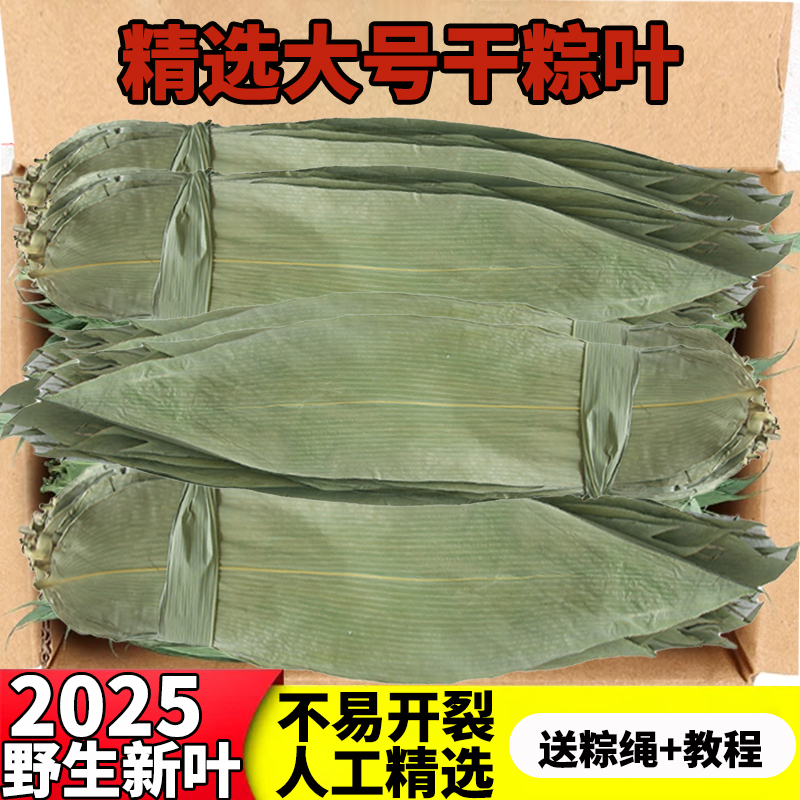 粽叶干特大号包粽子专用粽子叶新鲜棕叶竹叶子箬叶商用端午节批发