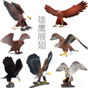 雄鹰展翅仿真小模型金雕非洲鱼鹰白头海雕鸮游隼秃鹫蛇鹫儿童玩具