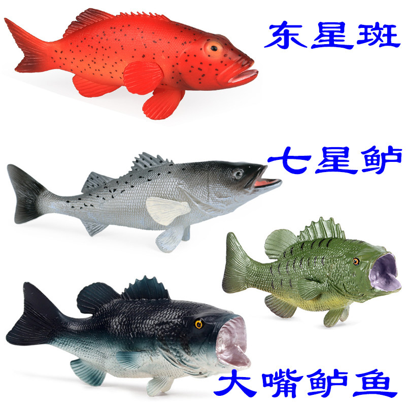 硬树脂东星斑仿真模型豹纹鳃棘鲈七星鲈大嘴鲈鱼幼儿园科普小玩具