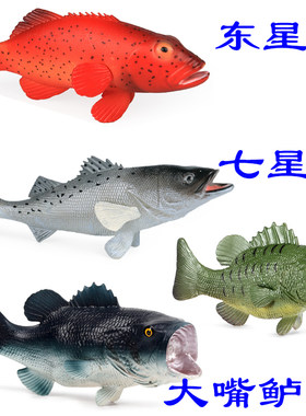 硬树脂东星斑仿真模型豹纹鳃棘鲈七星鲈大嘴鲈鱼幼儿园科普小玩具
