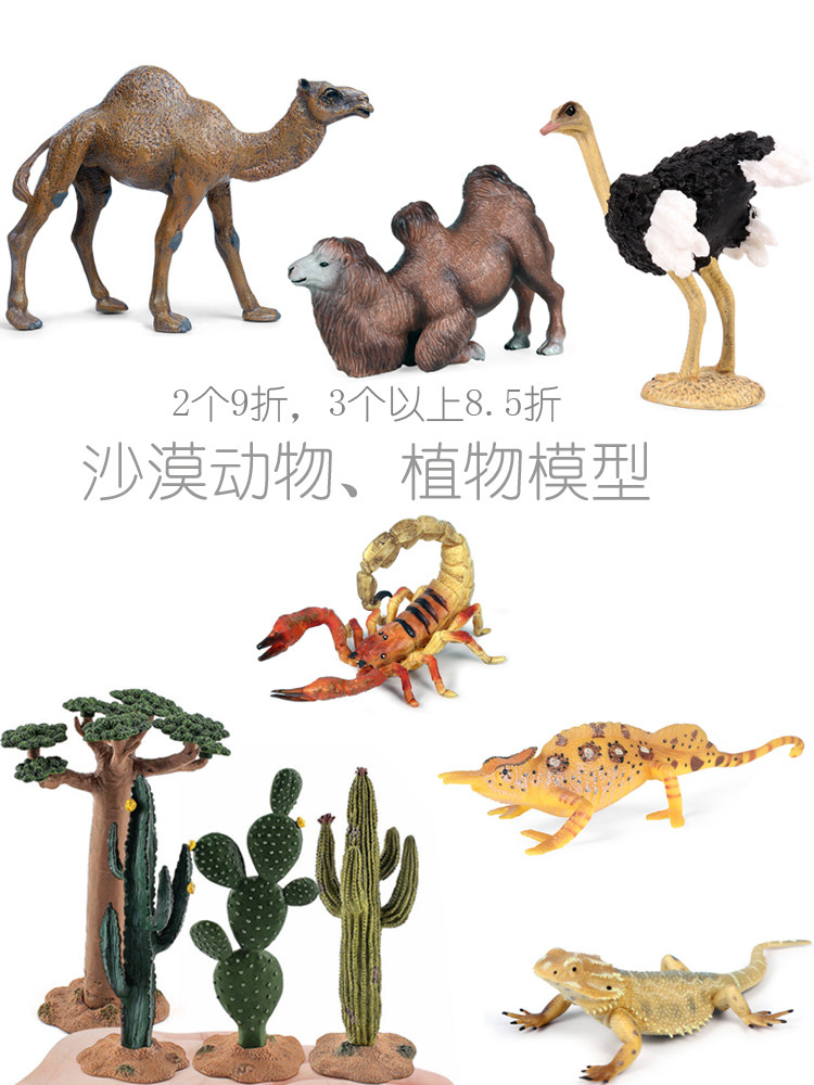 단단한 플라스틱 사막 동물 및 식물 조경 시뮬레이션 모델 단일 및 이중 혹 낙타 카멜레온 선인장 어린이인지 장난감