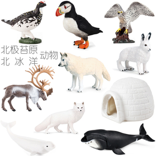 北极苔原野生动物雷鸟白狼狐狸雪屋北冰洋弓头鲸斑海豹儿童小玩具