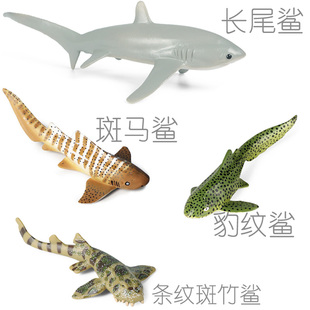 硬塑料长尾鲨仿真模型斑马鲨豹纹鲨儿童认知条纹斑竹鲨小鲨鱼玩具