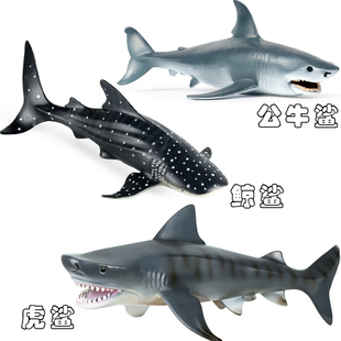 硬树脂虎鲨玩具鲸鲨公牛鲨鱼海洋动物居氏鼬鲨仿真模型儿童小摆件