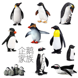 硬塑料帝王企鹅摆件非洲洪堡跳岩黄眉巴布亚小蓝企鹅仿真模型玩具