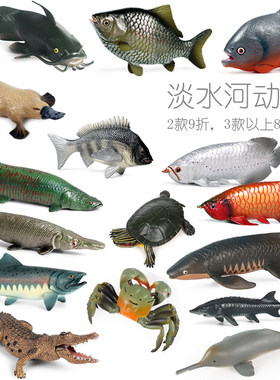 内陆河动物大全淡水鱼鳄鱼虾蟹