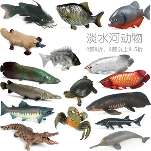 两个打折内陆河动物淡水鱼巨骨舌鱼鳄雀鳝仿真小模型儿童认知玩具