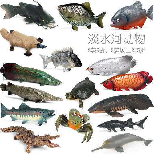 内陆河动物大全淡水鱼鳄鱼虾蟹