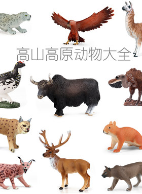 高山高原野生动物玩具美洲狮猞猁