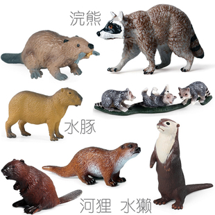 硬塑小浣熊玩具水獭摆件河狸公仔海狸鼠卡皮巴拉水豚儿童科普模型