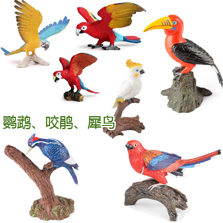 硬塑金刚虎皮鹦鹉玩具山雀杜鹃鸽子啄木鸟咬鹃犀鸟儿童认知小摆件