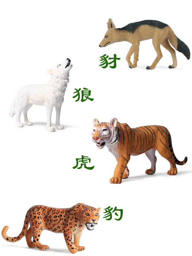 단단한 플라스틱 자칼 호랑이 및 표범인지 장난감 야생 육식 동물 어린이 교육 시뮬레이션 모델 놀이 집 장식품