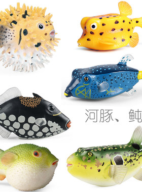 刺鲀鱼河豚粒突箱鲀仿真模型