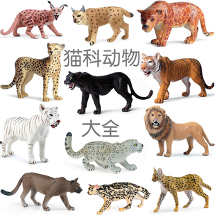 硬塑猫科动物仿真模型熊狮东北虎豹子山猫猞猁薮猫儿童认知玩具