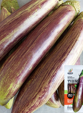 竹丝长茄种子苗盆栽肉质嫩花茄蔬菜种籽春季夏秋冬茄子蔬菜种孑